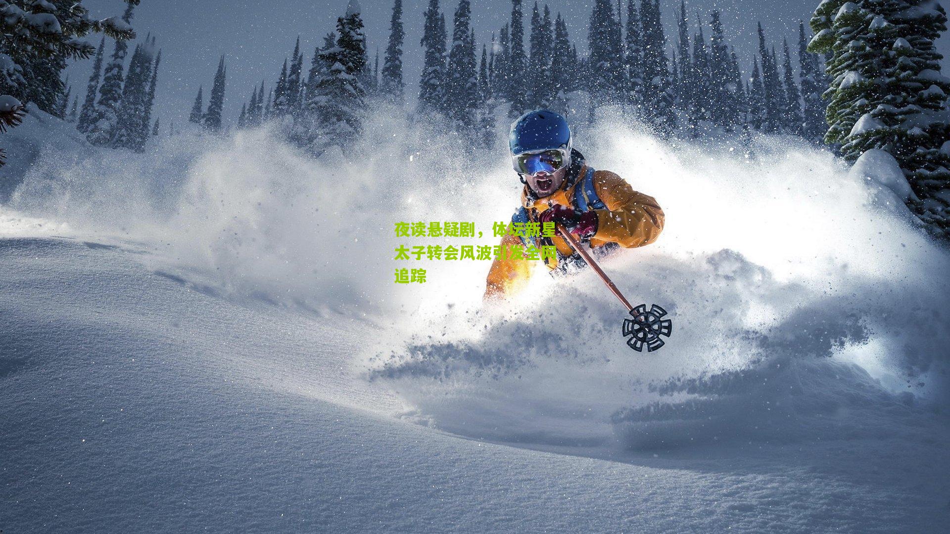 夜读悬疑剧，体坛新星太子转会风波引发全网追踪